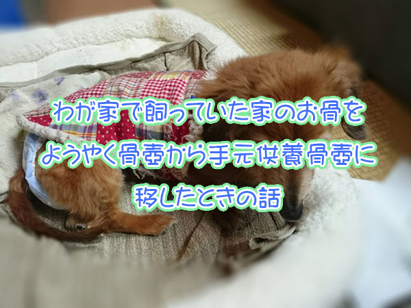 わが家で飼っていた犬のお骨を ようやく骨壺から手元供養用骨壺に移したときの話 自宅供養 富山県のお墓専門店 有限会社石の立山